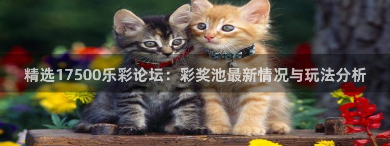 精选17500乐彩论坛：彩奖池最新情况与玩法分析