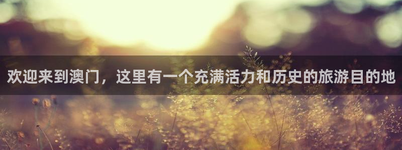 k8凯发5招商：欢迎来到澳门，这里有一个充满活力和历史的旅游目的地