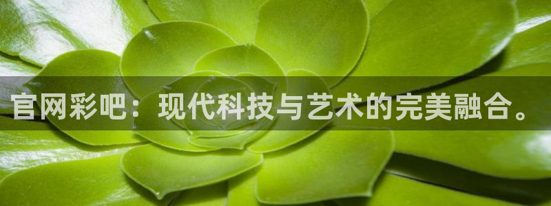 k8凯发体育平台注册：官网彩吧：现代科技与艺术的完美融合。